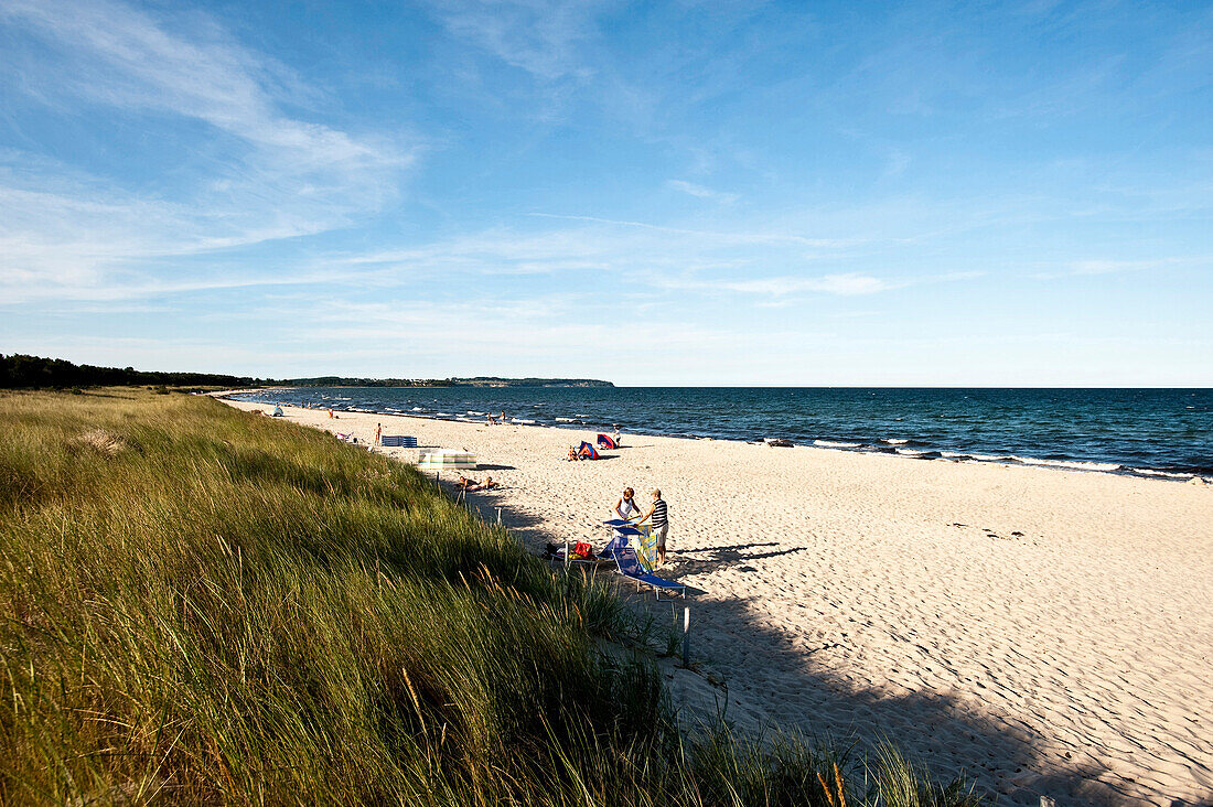 Strand am Rügener Bodden, Insel Rügen, Ostsee, Mecklenburg-Vorpommern, Deutschland