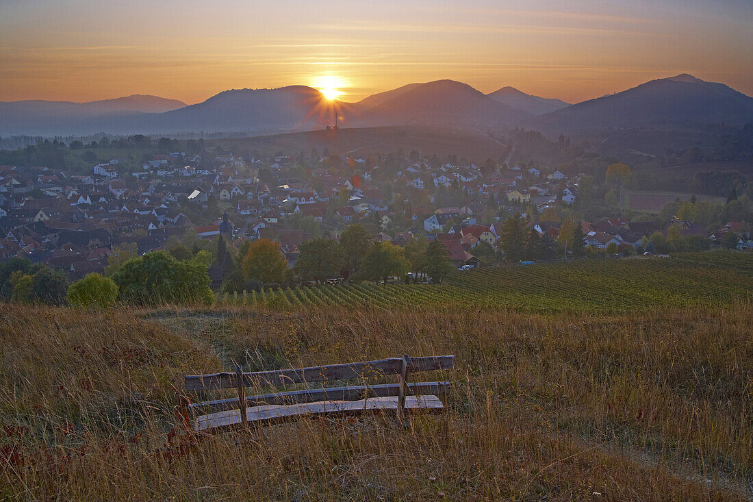 View from the hill Kleine Kalmit near Ilbesheim at the Palatinate Forest, German Wine Route, Rhineland-Palatinate, Germany, Europe