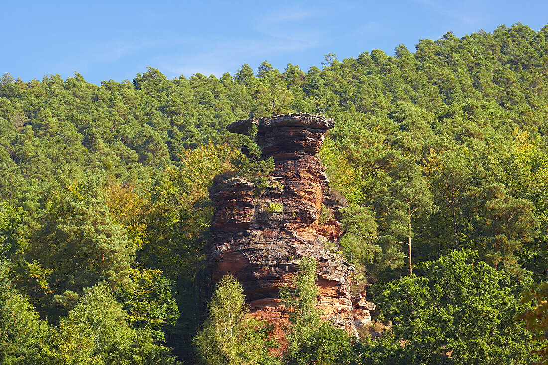 Formation of rocks called Rappenfels near Hinterweidenthal in the Palatinate Forest, Rhineland-Palatinate, Germany, Europe