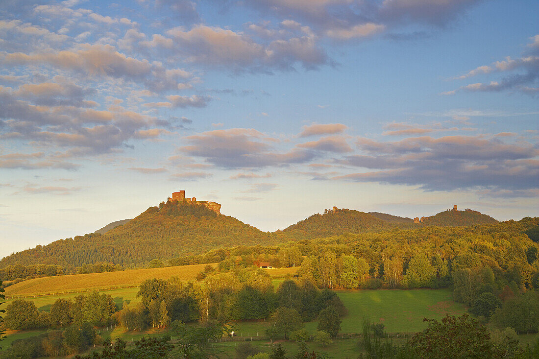 Trifels castle near Annweiler, Palatinate Forest, Rhineland-Palatinate, Germany, Europe