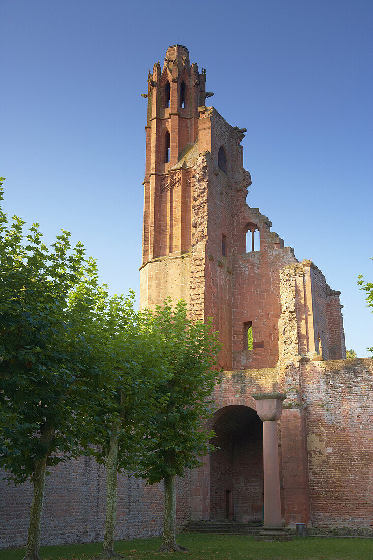 Ruin of Limburg monastery, Bad Dürkheim, Deutsche Weinstraße, Palatinate, Rhineland-Palatinate, Germany, Europe
