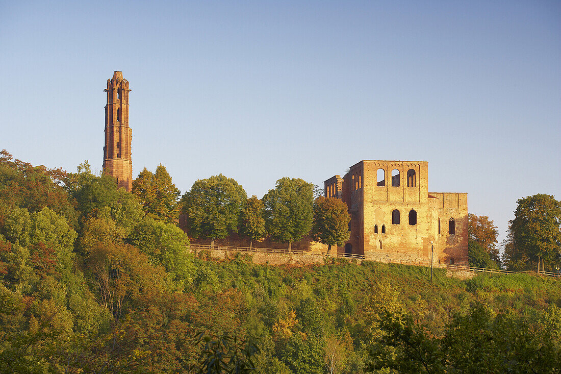 Klosterruine Limburg bei Bad Dürkheim, Deutsche Weinstraße, Pfalz, Rheinland-Pfalz, Deutschland, Europa