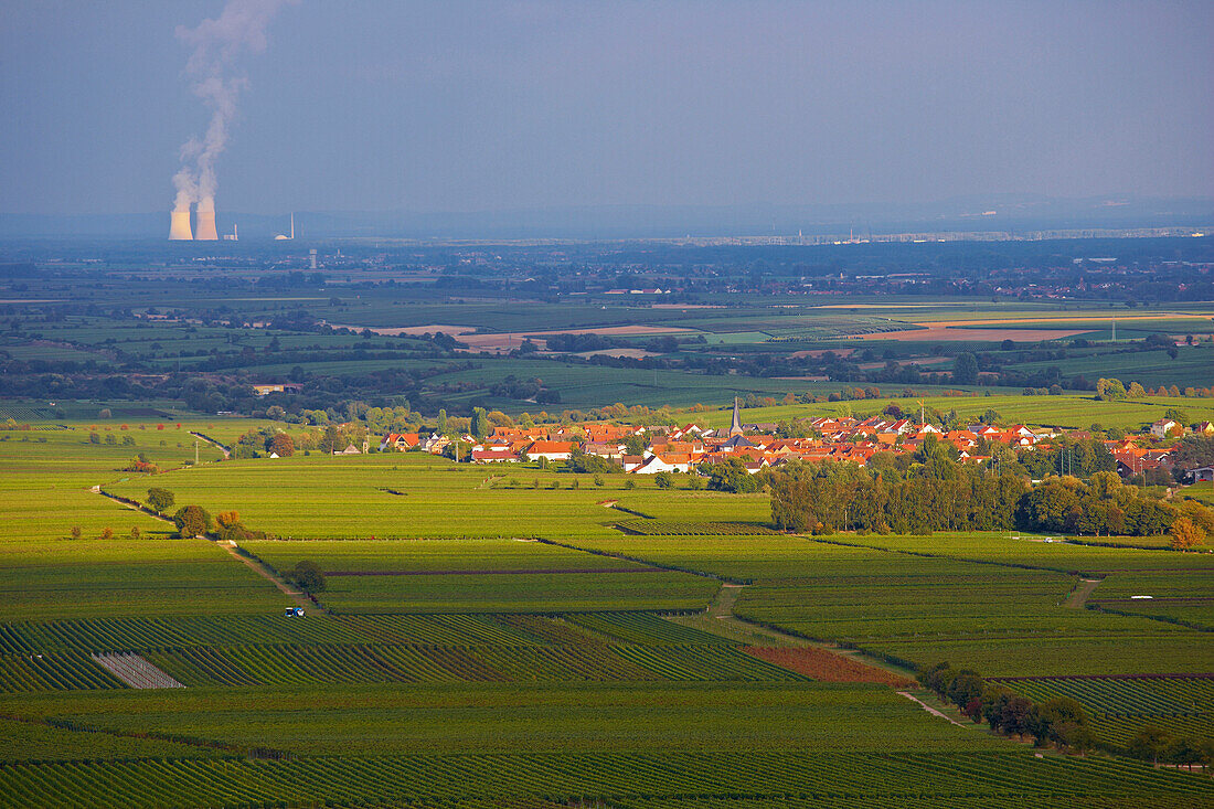 Blick über Weinfelder auf AKW Philippsburg, Rheinland-Pfalz, Deutschland