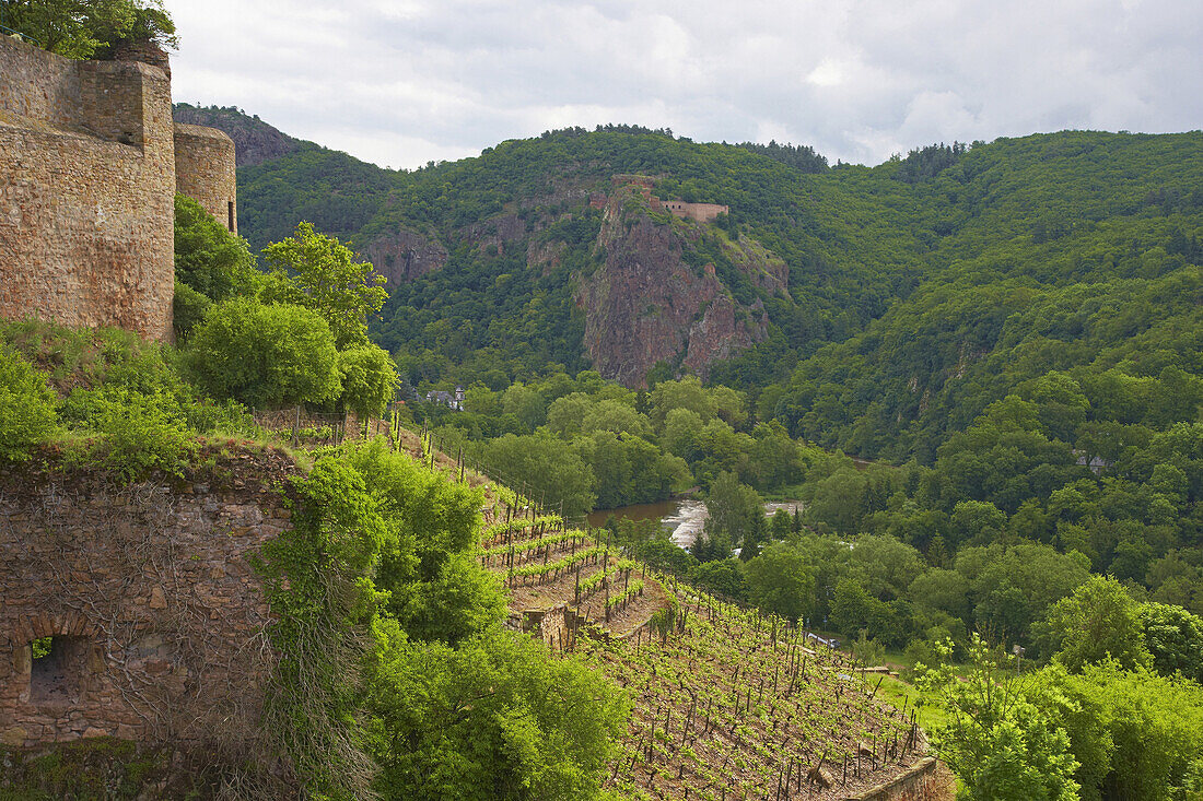 View from Ebernburg castle at Rheingrafenstein ruin, Bad Münster am Stein - Ebernburg, District Bad Münster am Stein, Nahe, Rhineland-Palatinate, Germany, Europe