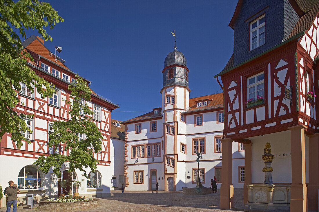 Alzey, Fischmarkt, Renaissance-Rathaus (1586), Deutsches Haus mit Volkerbrunnen, Altstadt, Rheinhessen, Rheinland-Pfalz, Deutschland, Europa