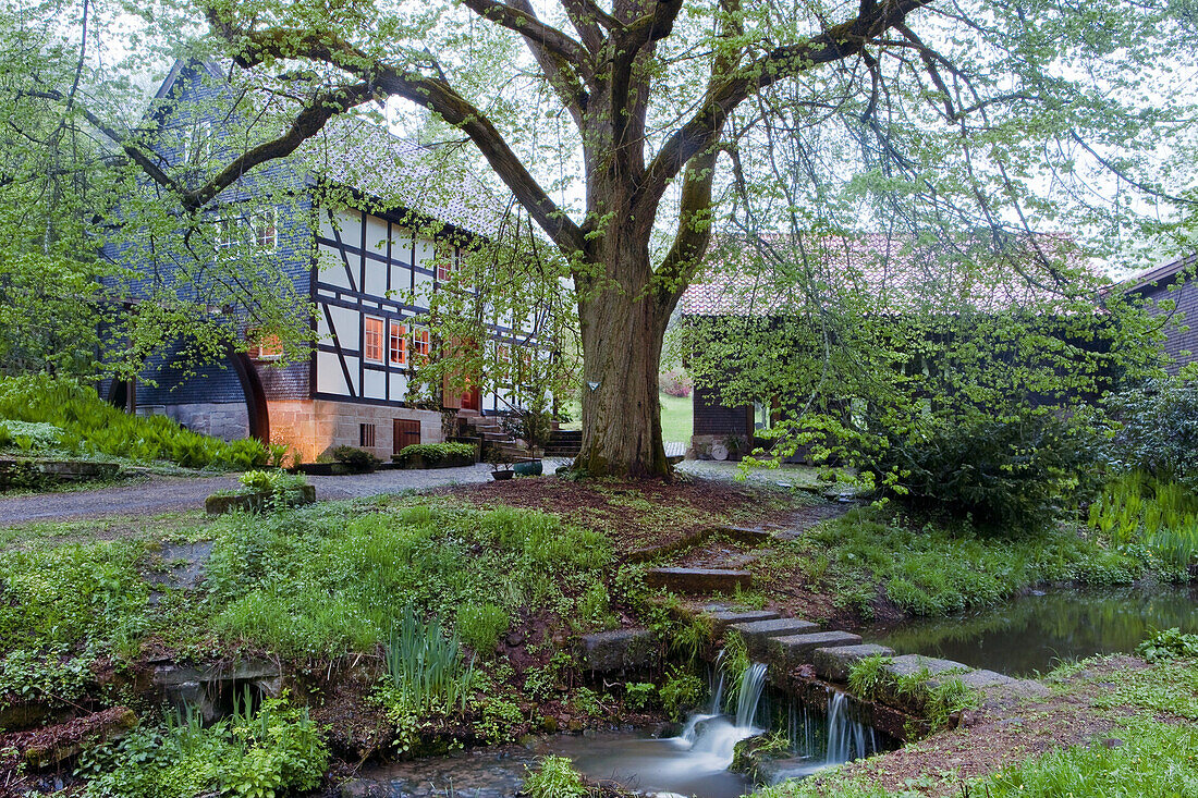 Idyllic watermill with creek in Spring, Haunetal, Rhoen, Hesse, Germany, Europe
