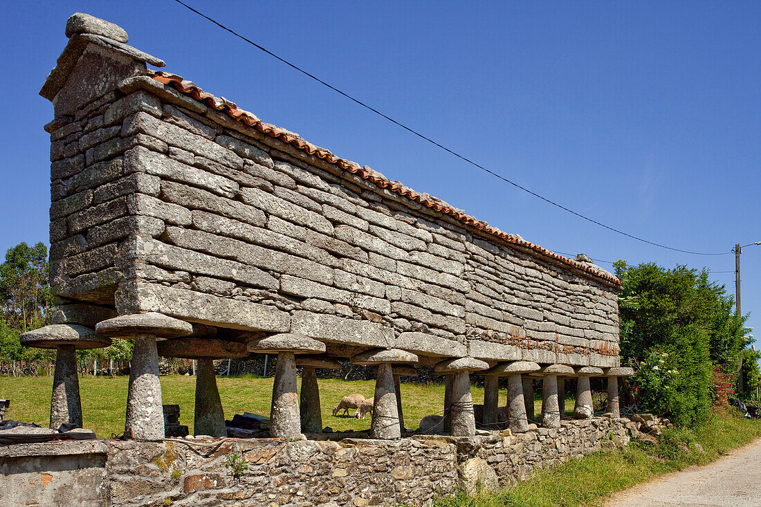 Granary storehouse, Horreo, Padreeiro de Abaixo, near Muxia, near Bainas, Way of St. James, Camino de Santiago, pilgrims way, province of La Coruna, Galicia, Northern Spain, Spain, Europe