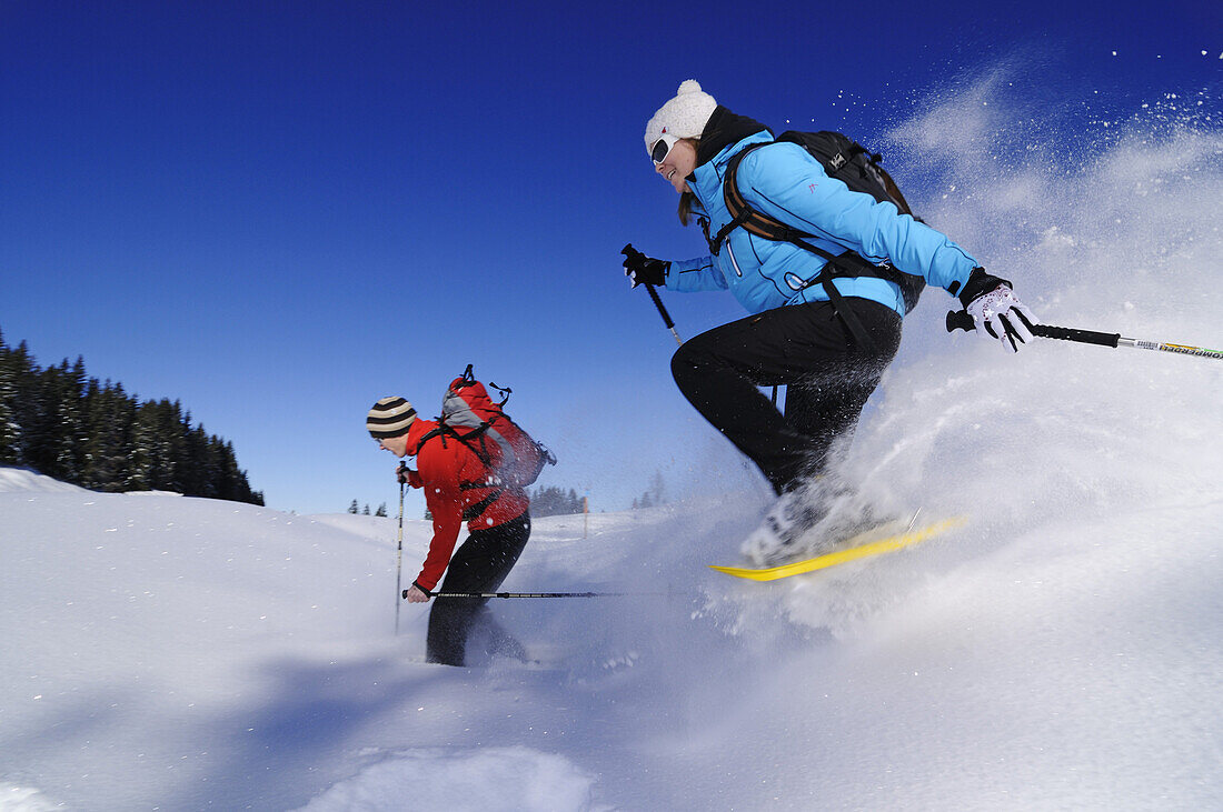 Menschen beim Schneeschuhlaufen unter blauem Himmel, Hemmersuppenalm, Reit im Winkl, Bayern, Deutschland, Europa