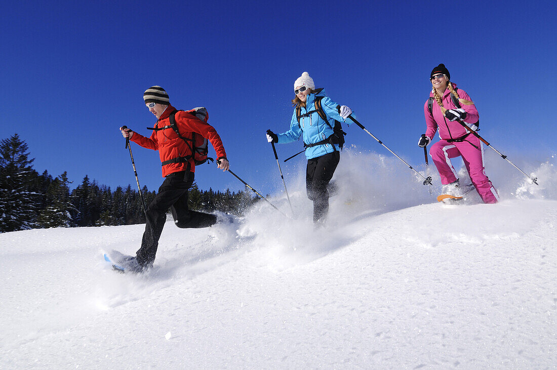 Menschen beim Schneeschuhlaufen, Hemmersuppenalm, Reit im Winkl, Bayern, Deutschland, Europa