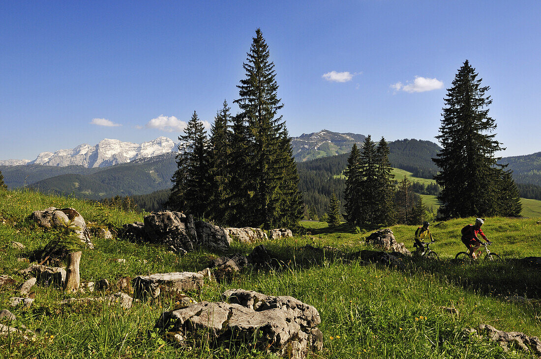 Mountainbiker auf der Winklmoos Alm vor den Loferer Steinbergen, Reit im Winkl, Bayern, Deutschland, Europa