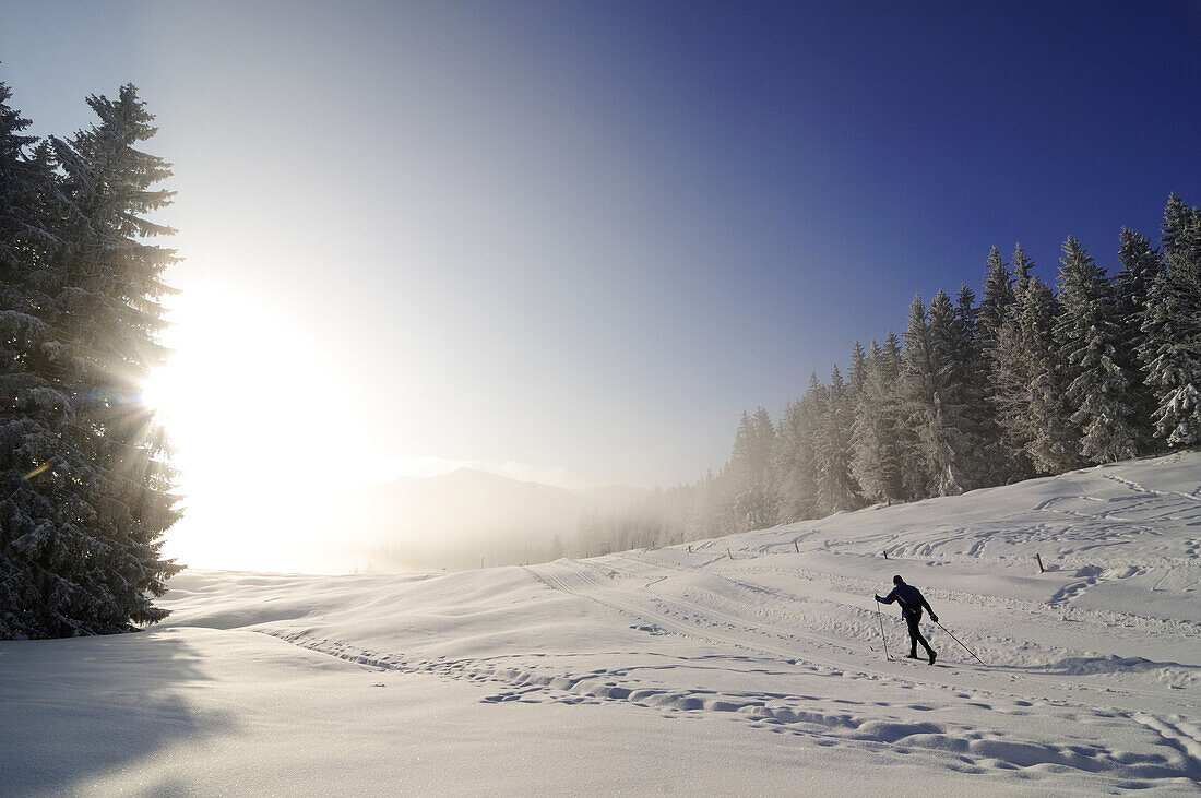 Menschen wandern auf dem ersten Premium Winterwanderweg Deutschlands, Hemmersuppenalm, Reit im Winkl, Chiemgau, Bayern, Deutschland, Europa