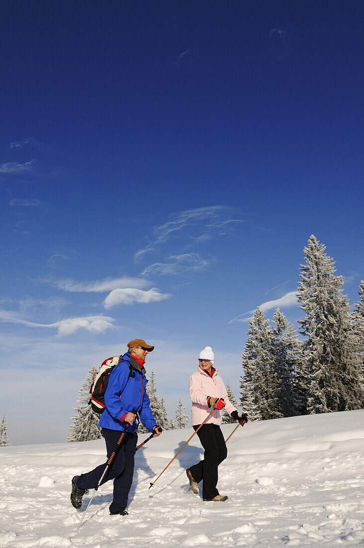 People hiking on winter hiking trail in snowy landscape, Hemmersuppenalm, Reit im Winkl, Chiemgau, Bavaria, Germany, Europe