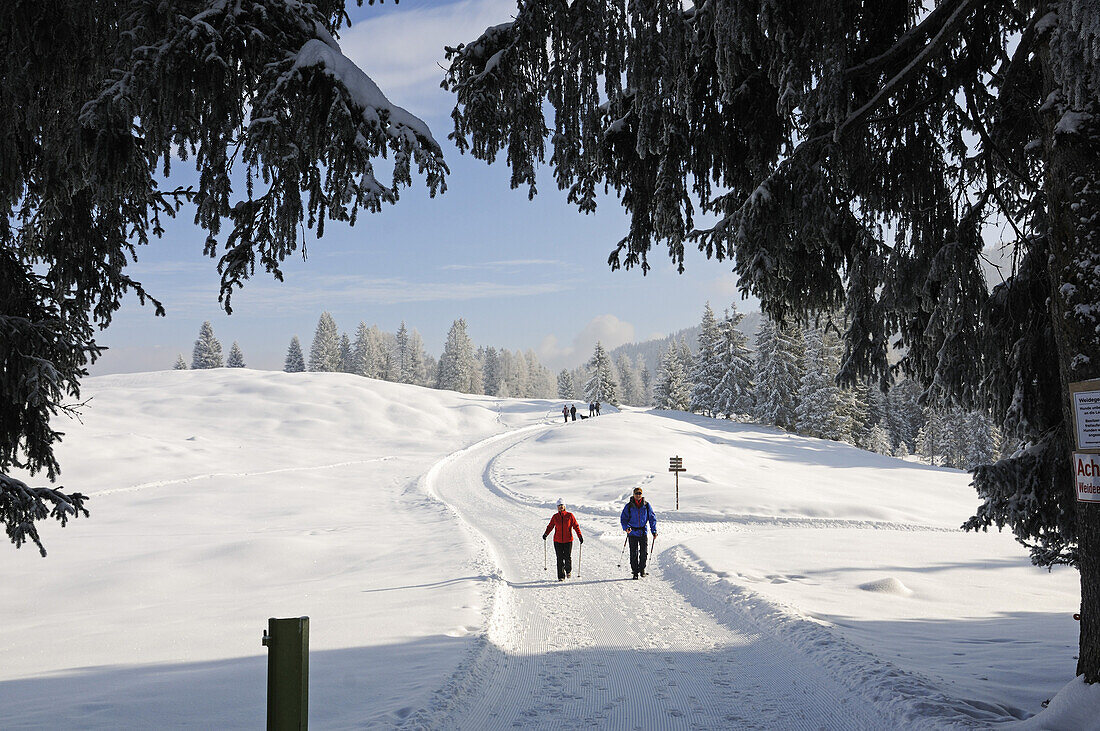 Menschen wandern auf Winterwanderweg in verschneiter Landschaft, Hemmersuppenalm, Reit im Winkl, Chiemgau, Bayern, Deutschland, Europa