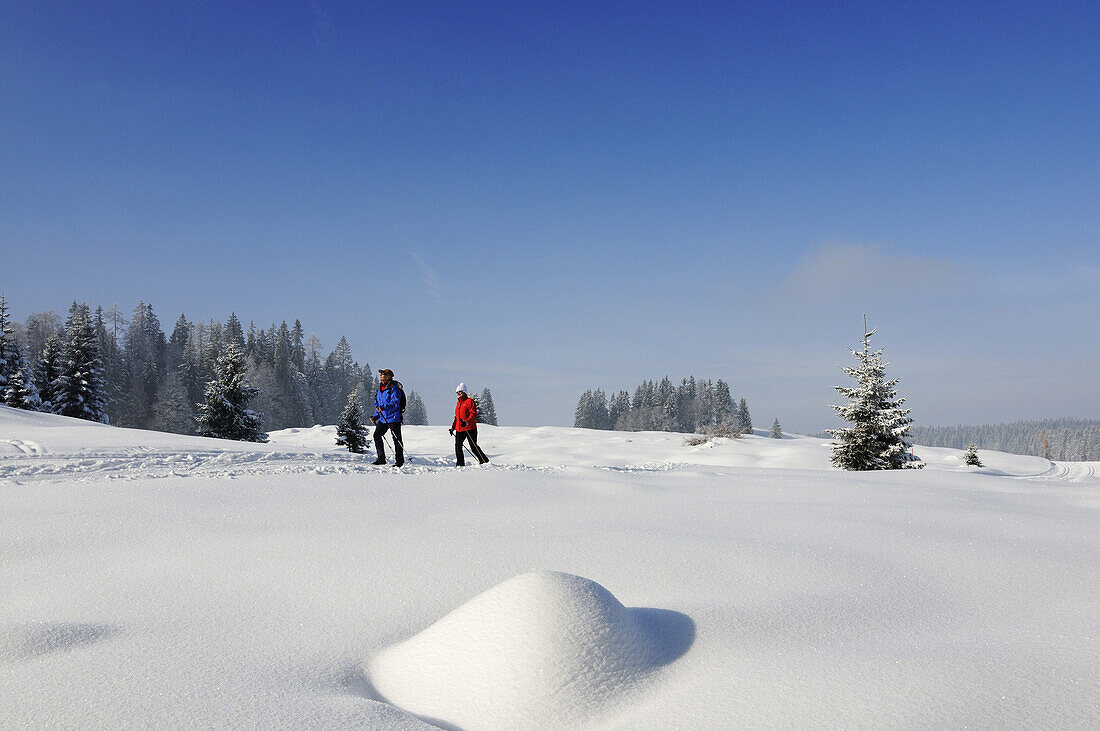 Menschen wandern auf Winterwanderweg in verschneiter Landschaft, Hemmersuppenalm, Reit im Winkl, Chiemgau, Bayern, Deutschland, Europa