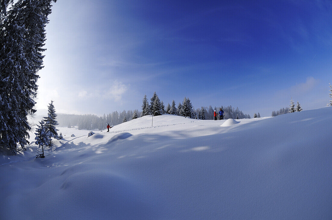 Menschen wandern auf Winterwanderweg in verschneiter Landschaft, Hemmersuppenalm, Reit im Winkl, Chiemgau, Bayern, Deutschland, Europa