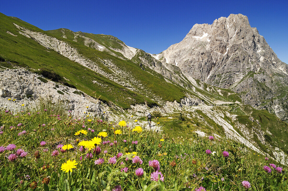 Mountain biker at Corno Grande under blue sky, Campo Imperatore, Gran Sasso National Park, Abruzzi, Italy, Europe