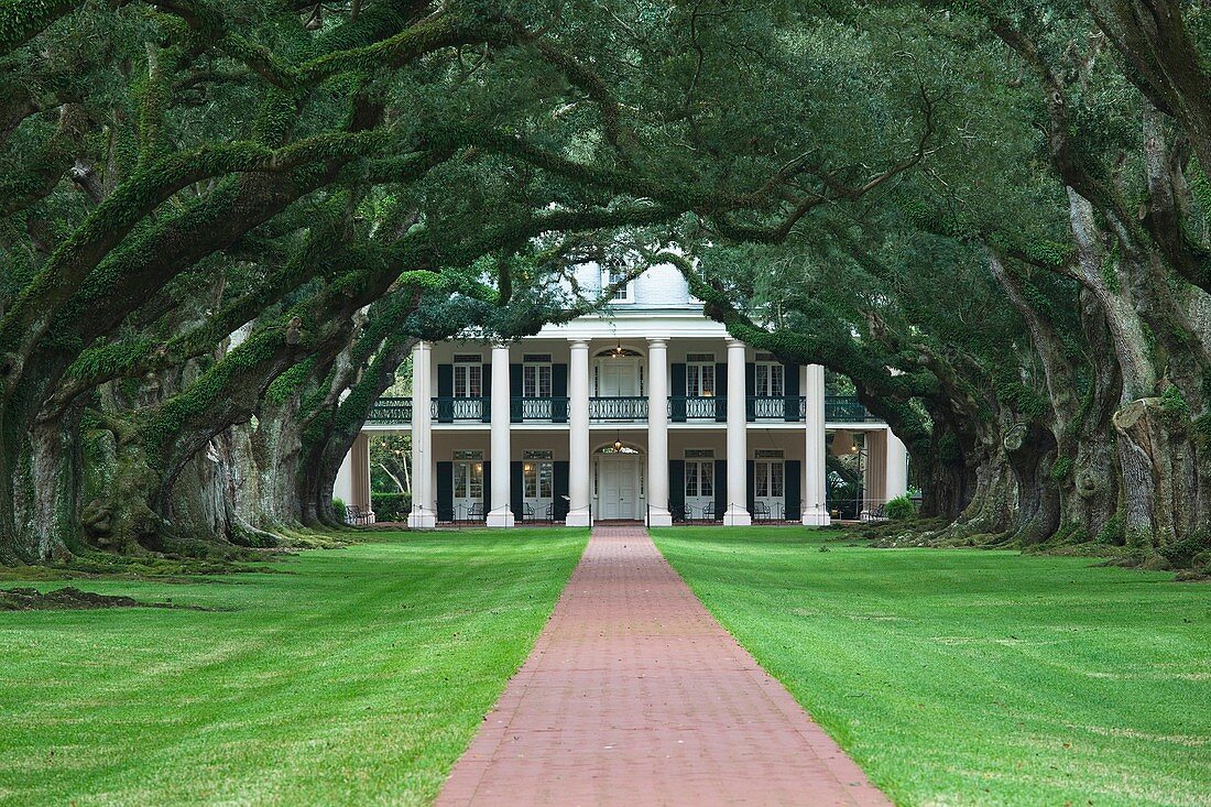 USA, Louisiana, Vacherie, Oak Alley Plantation, anti-bellum River Road mansion