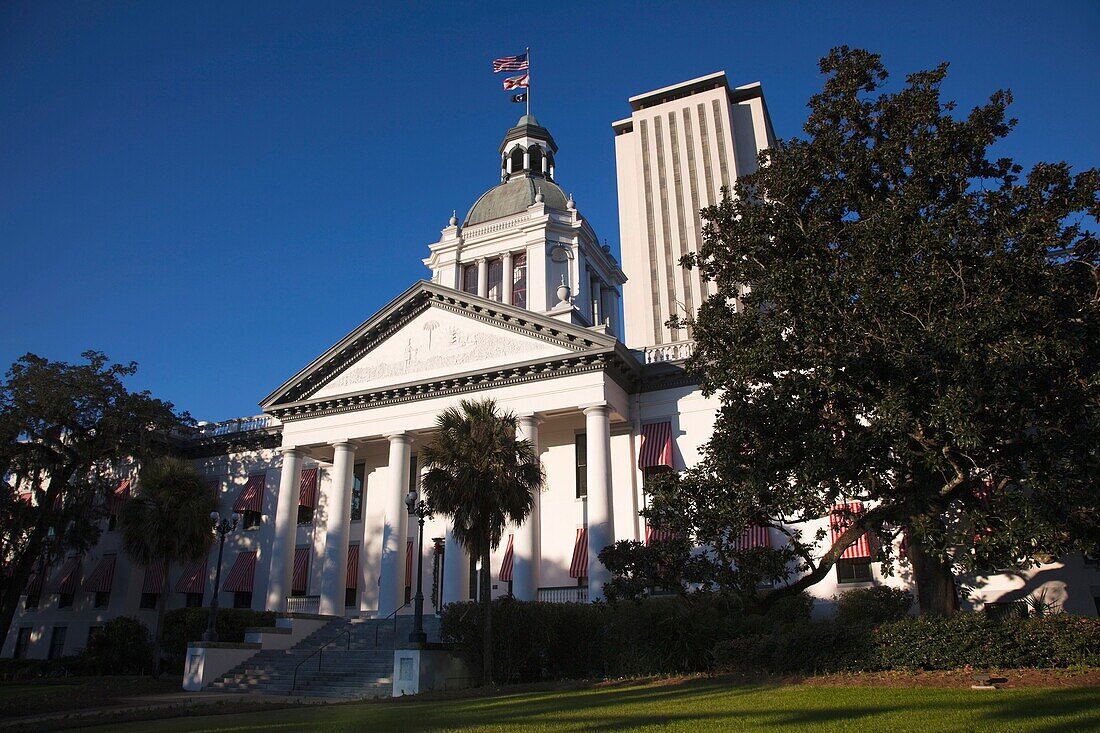 USA, Florida, Tallahassee, old and new State Capitol buildings, morning