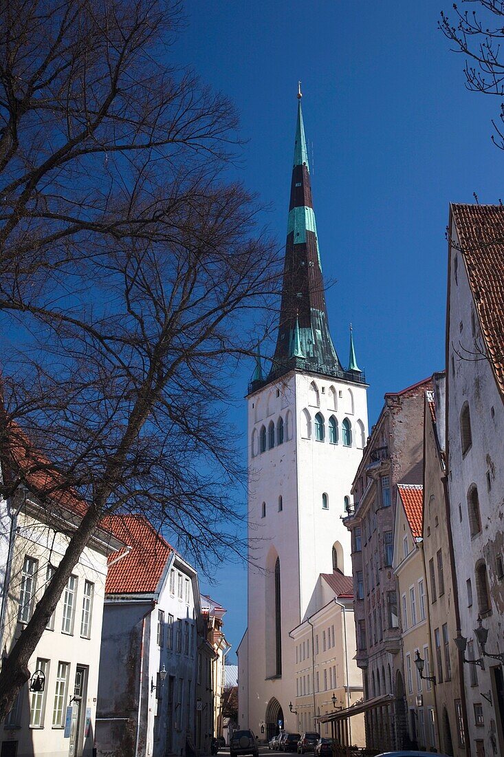Estonia, Tallinn, Old Town, St Olaf's Church Tower from Lai Street