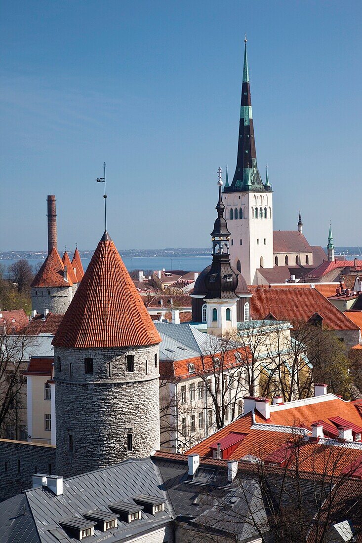 Estonia, Tallinn, Old Town, elevated view with St Olaf's Church from Toompea