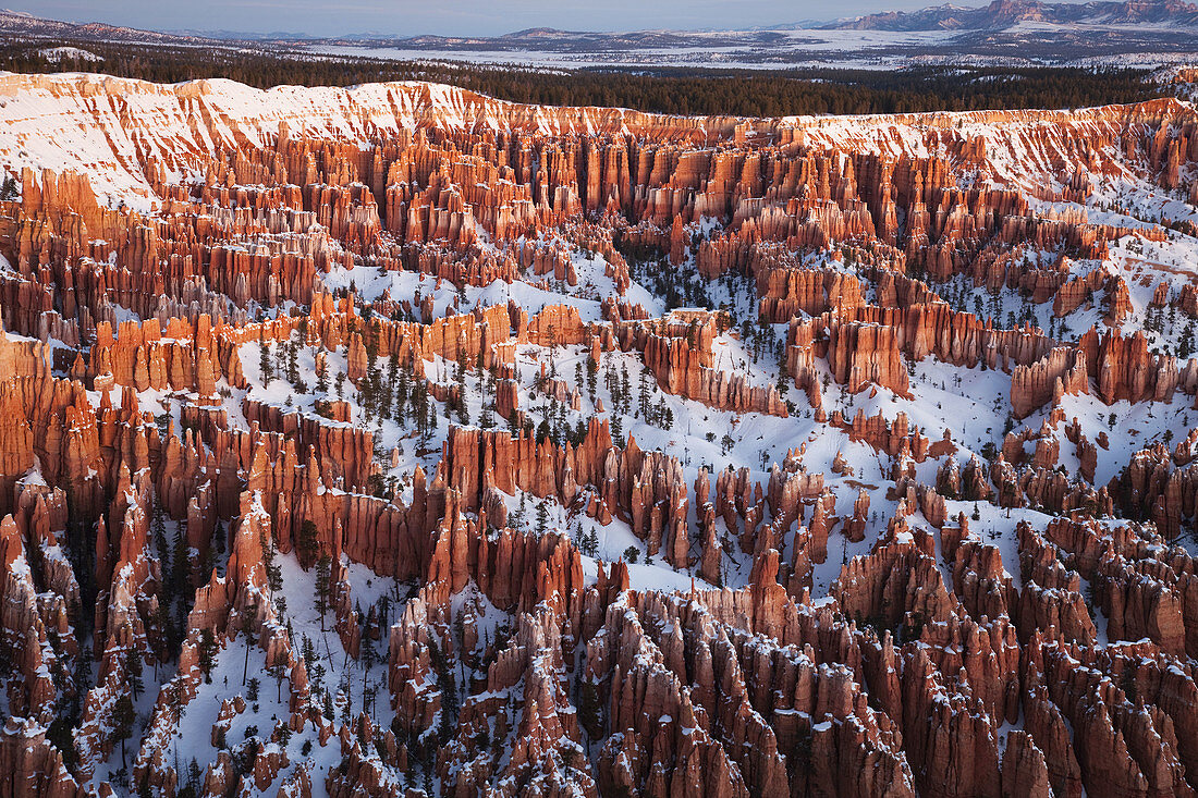 Bryce Amphitheater from Bryce Point at dawn in winter, Bryce Canyon National Park, Utah, USA