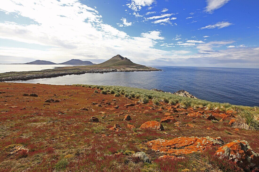 Steeple Jason Island Falklands islands Malvinas