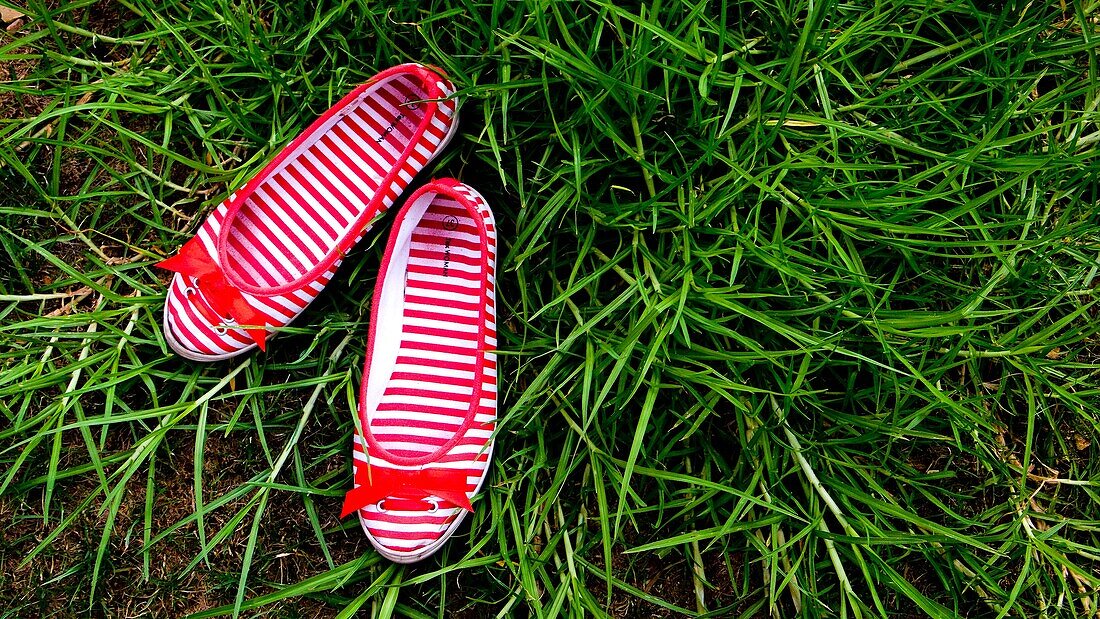 Ballet, Female, Grass, Green, Red, Shoes, Stripes, Ties, L40-1075349, agefotostock