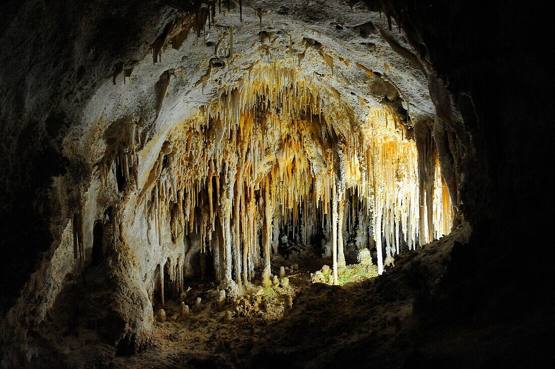 Carlsbad Caverns National Park