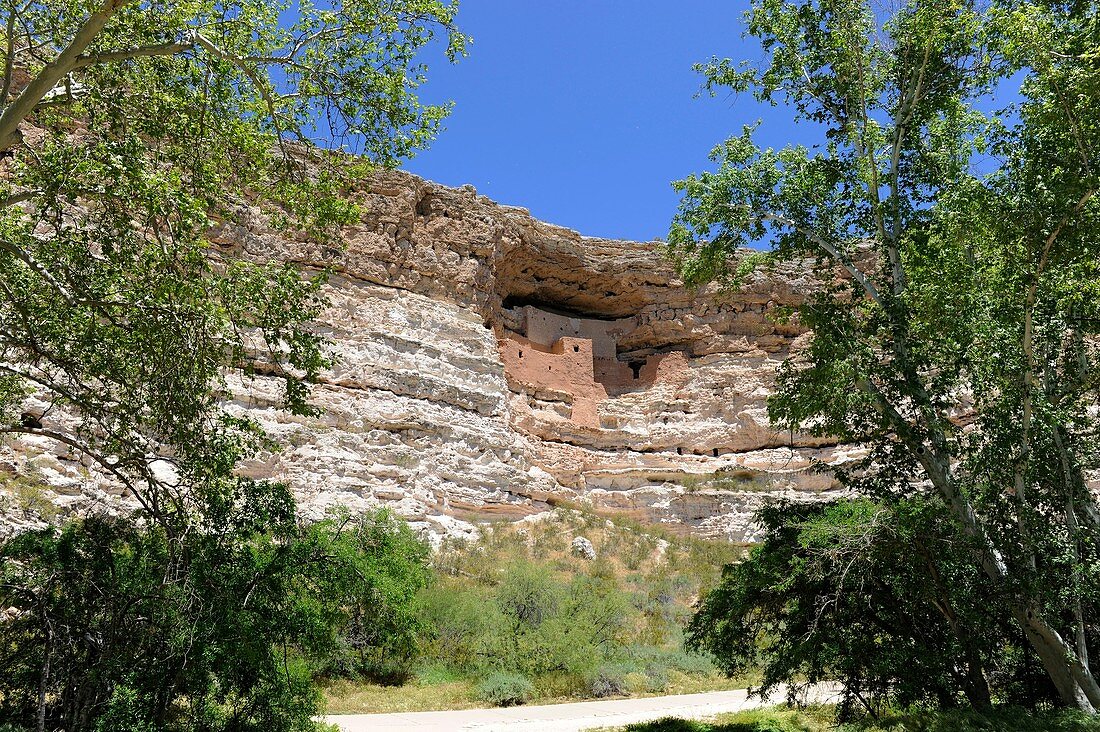 Cliff Dwellings Montezuma Castle National Monument Arizona