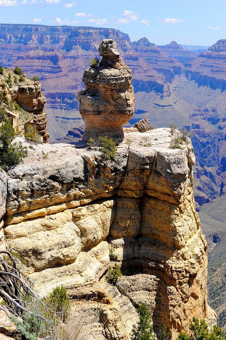 Hoodoos along South Rim Grand Canyon National Park Arizona