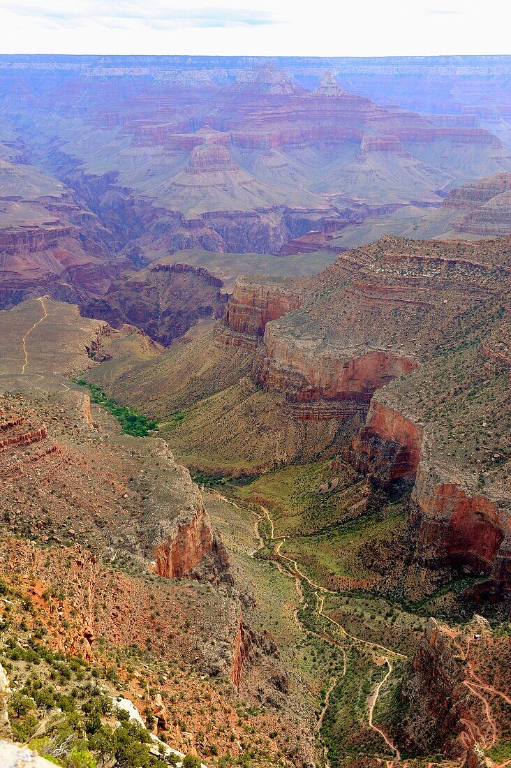 Bright Angel Fault Grand Canyon National Park Arizona