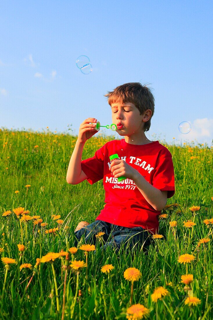 boy blowing bubbles in field of Dandelions, Zuercher Oberland, Zuerich, Switzerland