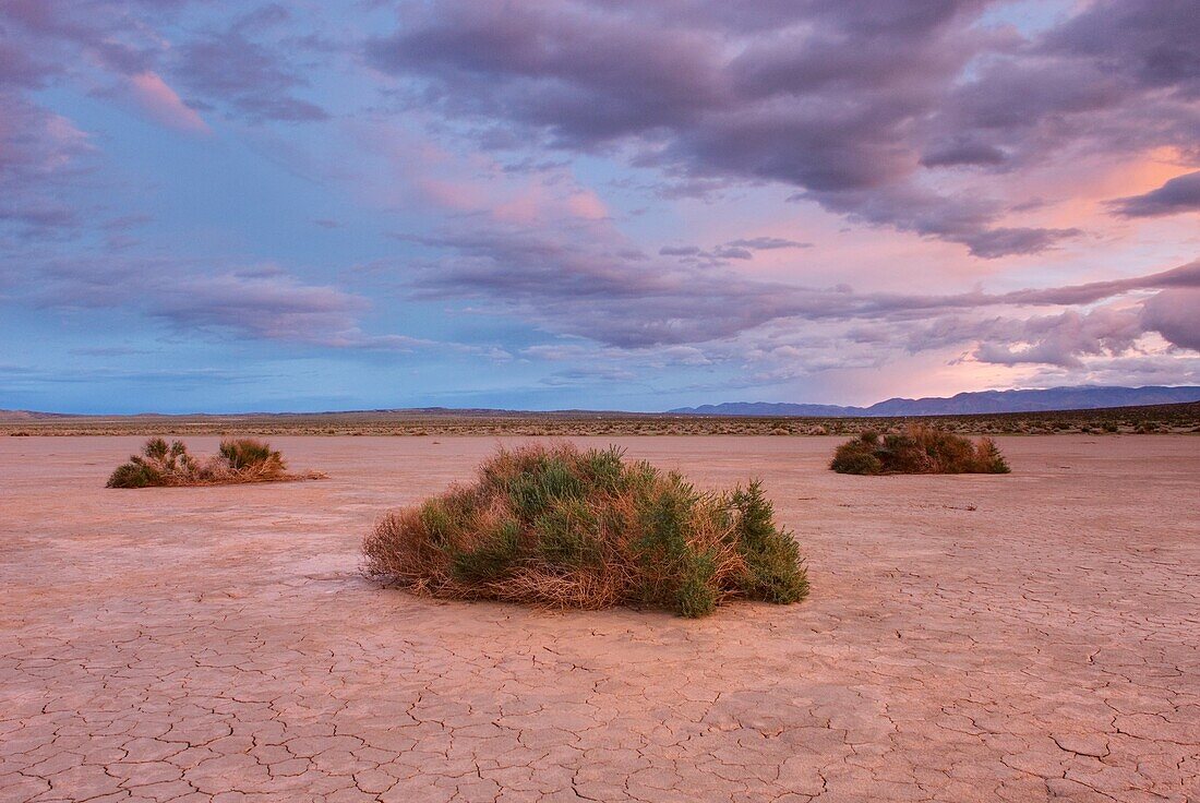 Clearing evening storm over Clark Dry Lake, Anza-borrego Desert State Park California