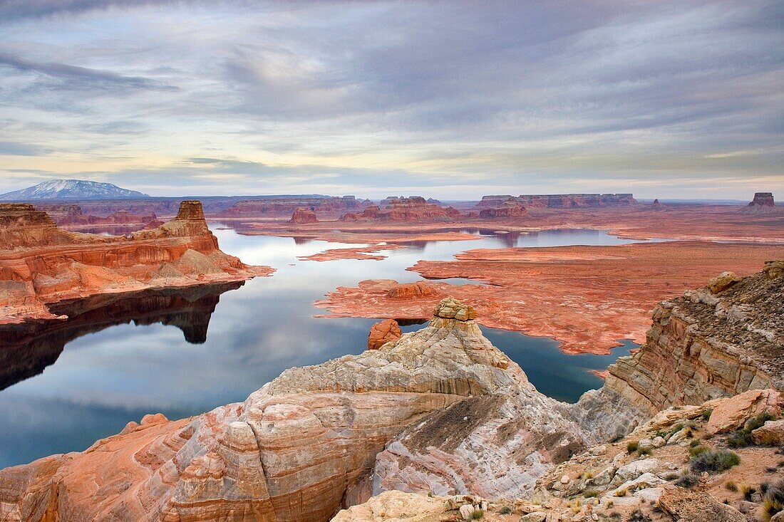 View of Padre Bay and Lake Powell from Alstrom Point, Glen Canyon National Recreation Area Utah