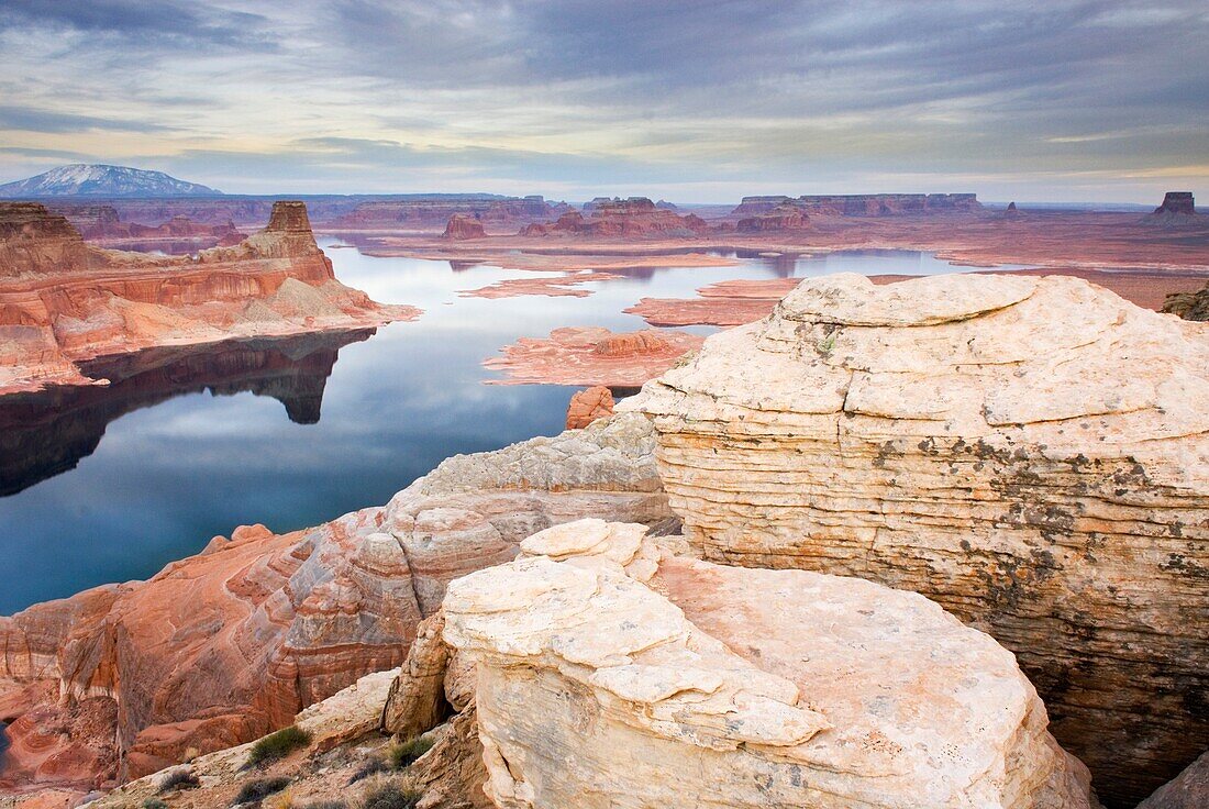 View of Padre Bay and Lake Powell from Alstrom Point, Glen Canyon National Recreation Area Utah