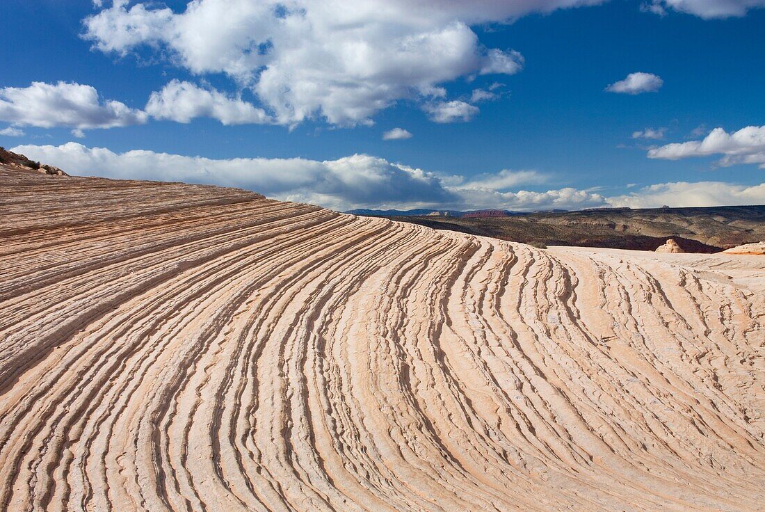 Curving layers of slickrock, Vermilion Cliffs Wilderness Utah