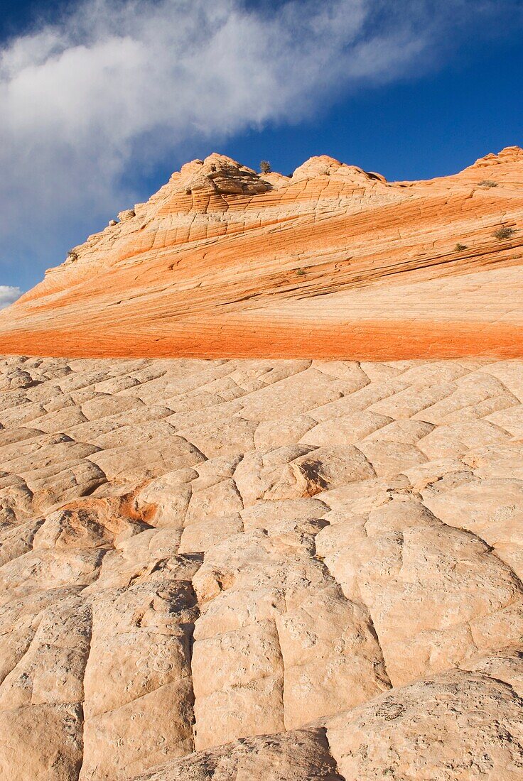 Colorful sandstone slickrock cross-bedding, Vermilion Cliffs Wilderness Utah