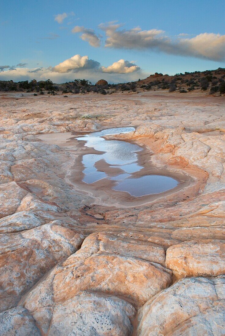 Colorful sandstone slickrock cross-bedding, Vermilion Cliffs Wilderness Utah