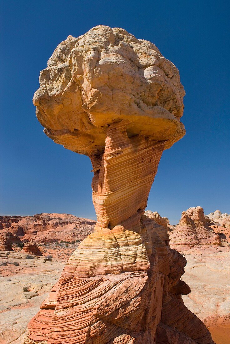 Rock Formation, South Coyote Buttes, Vermilion Cliffs Wilderness Utah