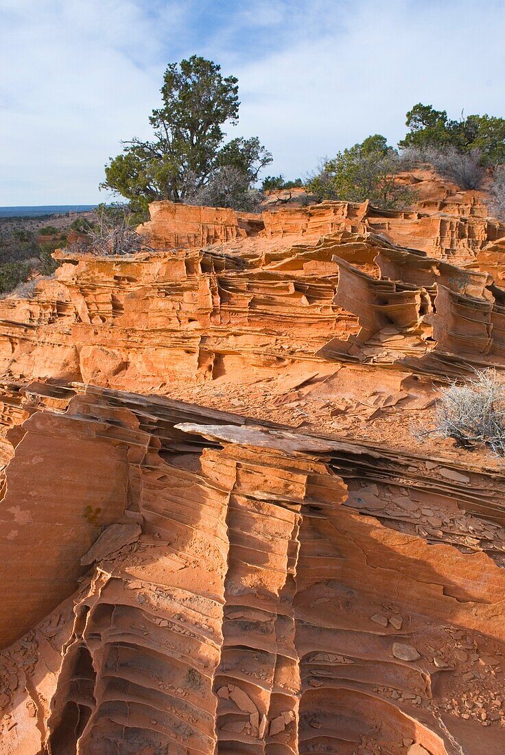 Delicate wafer thin flakes in cross-bedded sandstone, South Coyote Buttes, Vermilion Cliffs Wilderness Utah