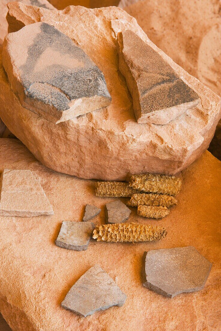 Pottery shards and corn cobs at Perfect Kiva Site, Bullet Canyon, Grand Gulch Primitive Area, Cedar Mesa Utah