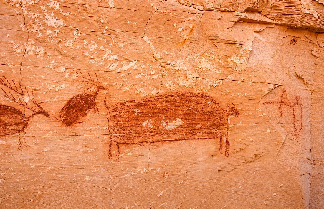 Barrier style pictographs at Horseshoe Gallery site, Horseshoe Canyon, Canyonlands National Park Utah