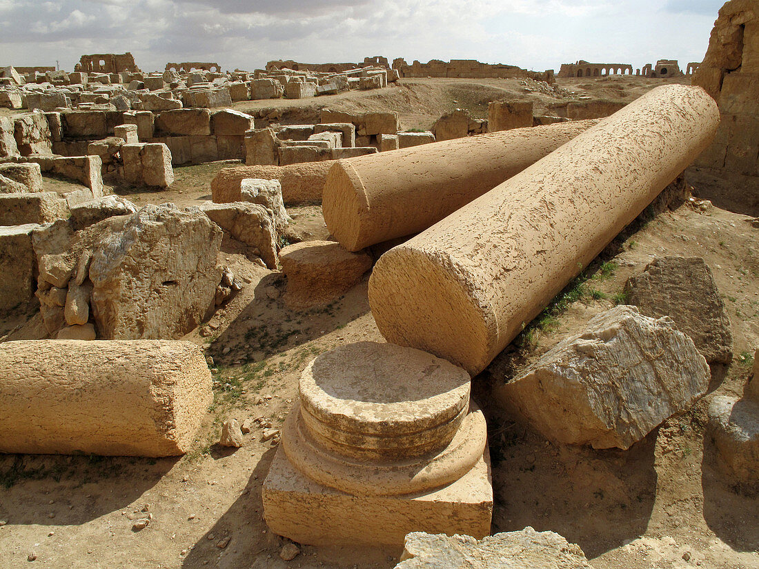 Ruins of Resafa, Syria