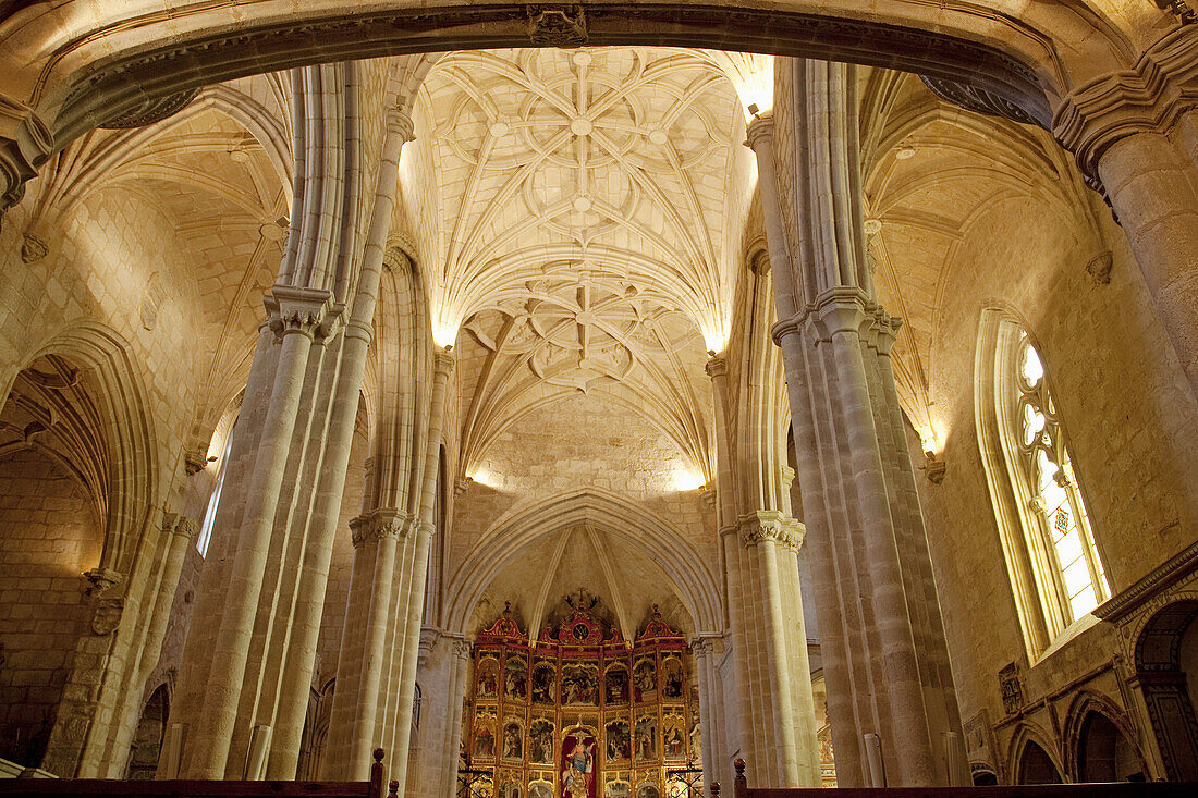 Church of Santa Maria la Mayor, Trujillo, Caceres province, Extremadura, Spain