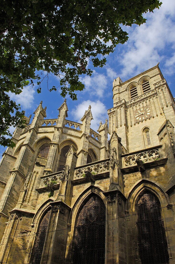 St-Nazaire cathedral XIVth century, Béziers. Hérault, Languedoc-Roussillon Francia