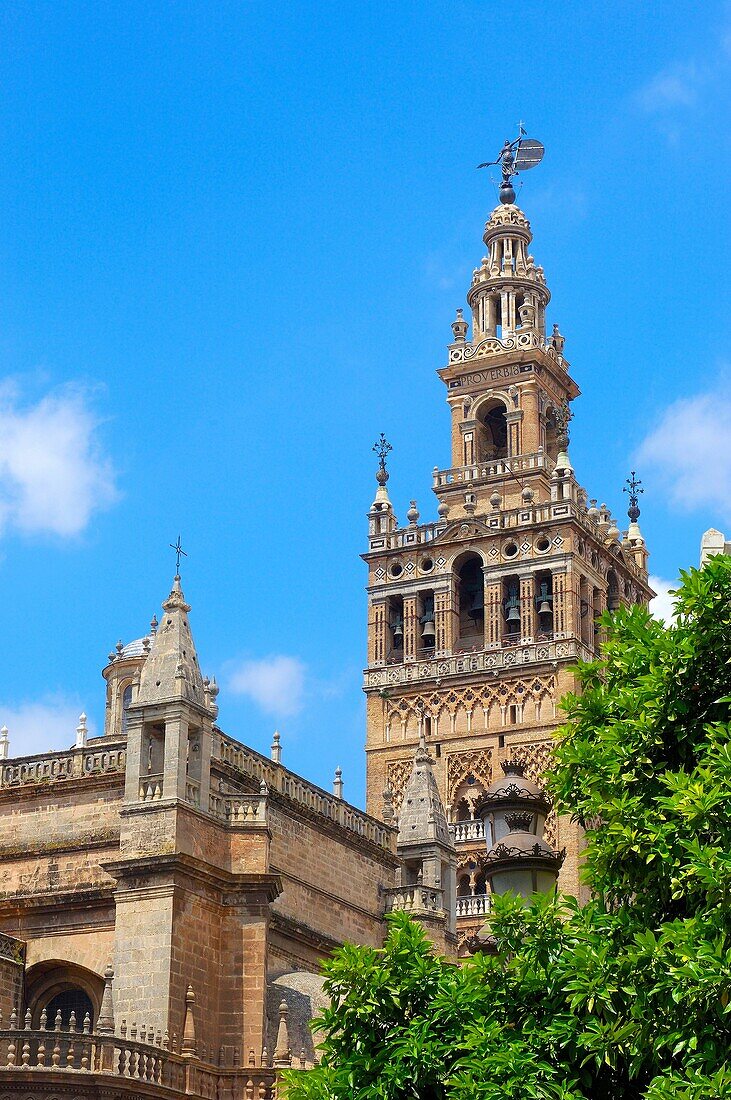 Giralda tower, Sevilla. Andalusia, Spain