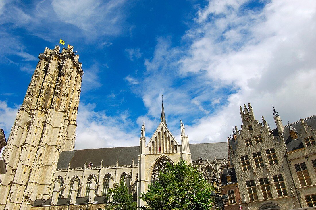 St. Rumbold's Cathedral, Grote Markt, Mechelen. Malines. Flemish Region, Belgium