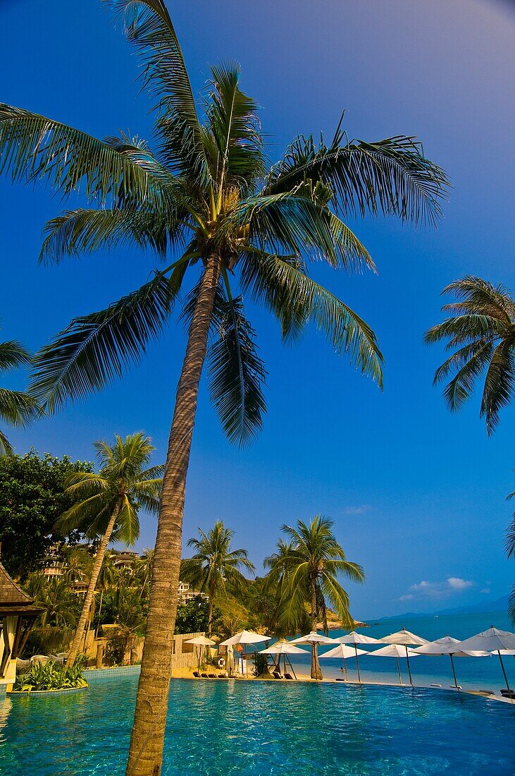 Infinity pool, Melati Beach Resort and Spa, Koh Samui island, Gulf of Thailand, Thailand