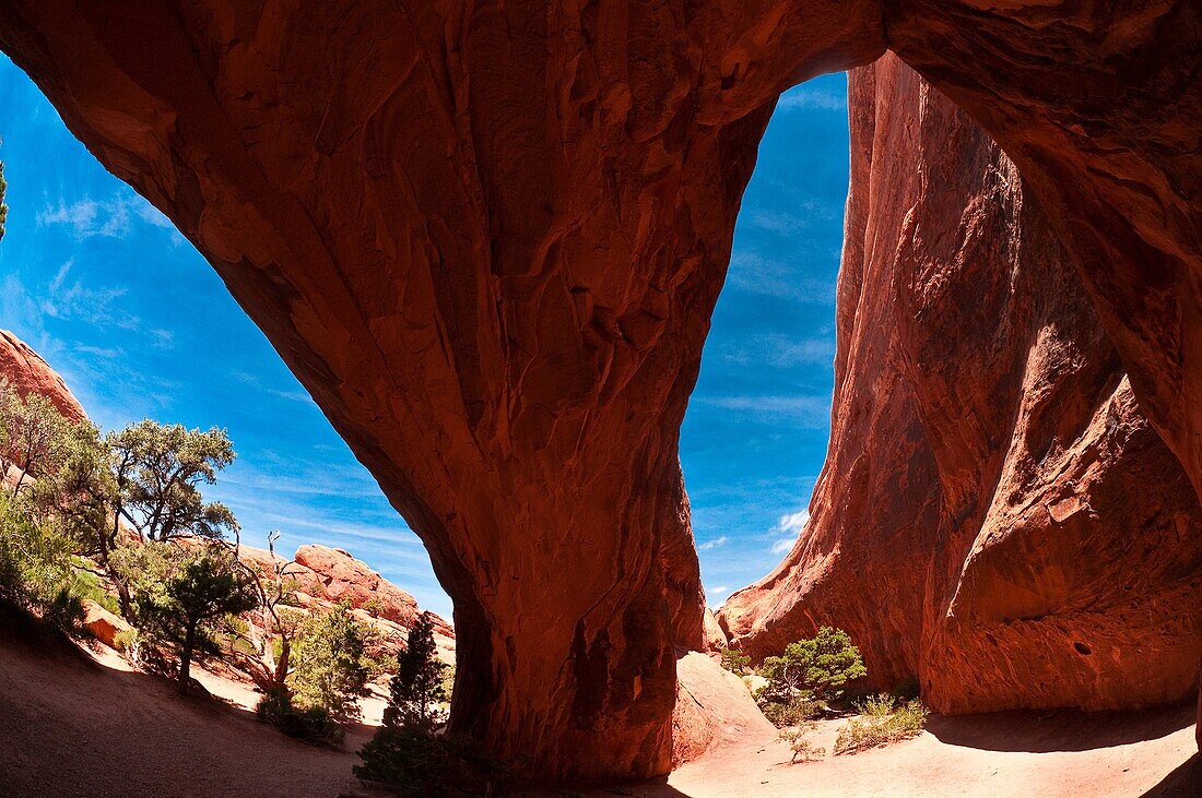 Navajo Arch, Devils Garden Trail, Arches National Park, near Moab, Utah USA