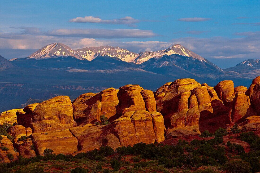 Arches National Park La Sal Mountains in background, near Moab, Utah USA
